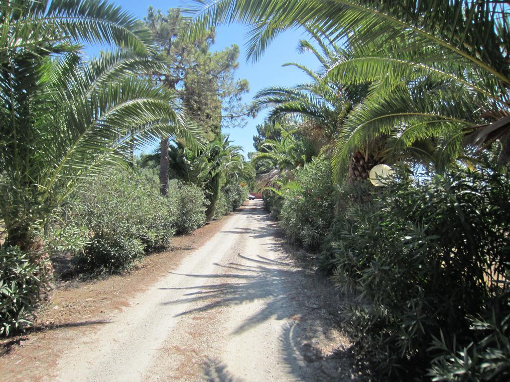 Le Ginestre Alghero Olmedo Esterno foto
